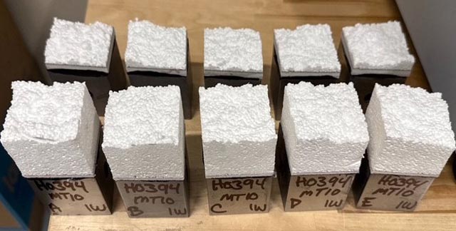 Azdel FWT wall sample group at one week